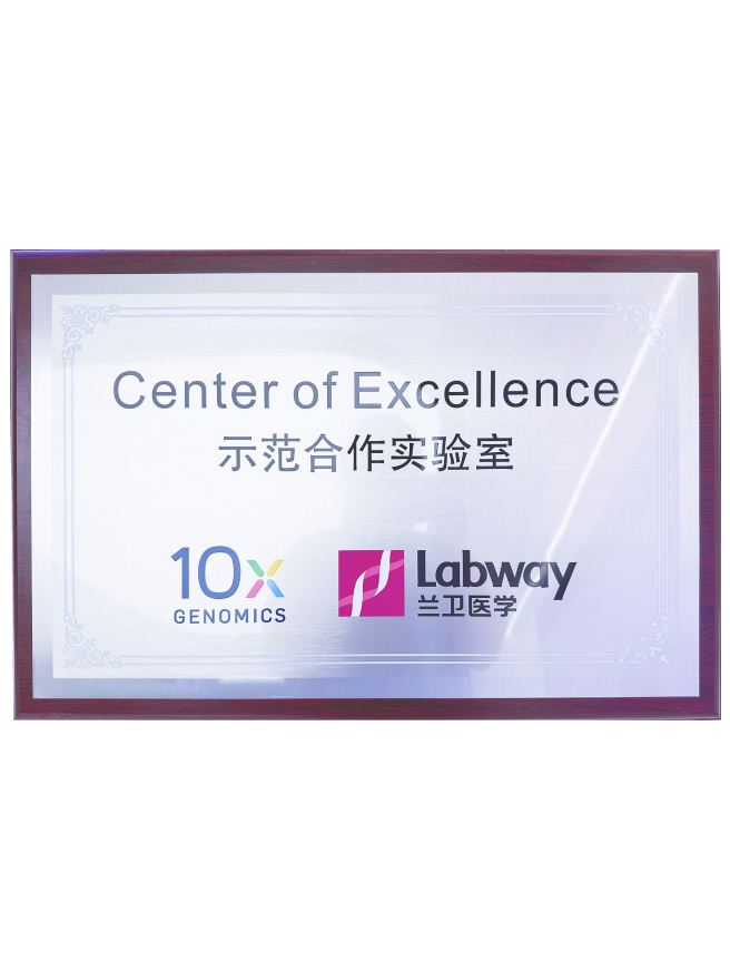 03 老子有钱lzyq88与10X示范合作尝试室.png